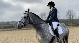 Stable Balm in action